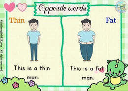 opposite-R1