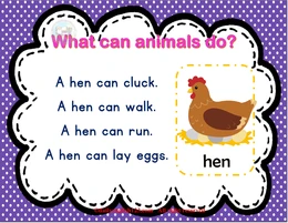 animals-03