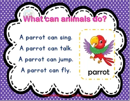 animals-05