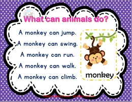animals-07