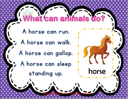 animals-08