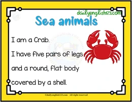 sea animals