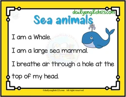 sea animals8