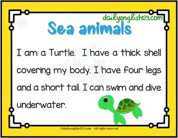 sea animals15