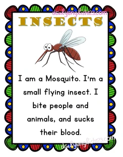 insects2