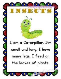 insects12