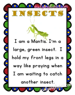 insects13