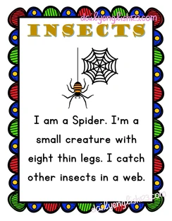 insects14