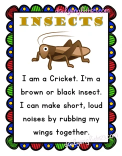insects15