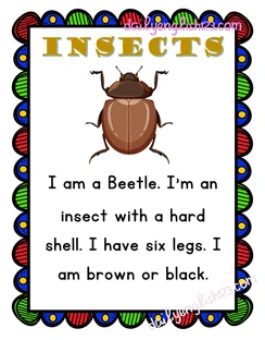 insects2