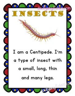 insects4