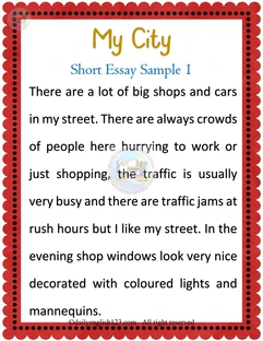 essay-16