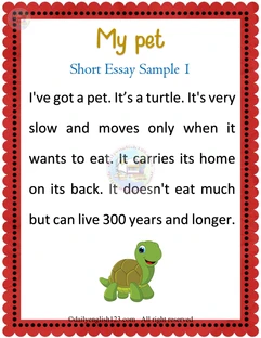 essay-19