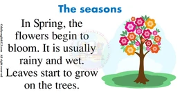 seasons_001
