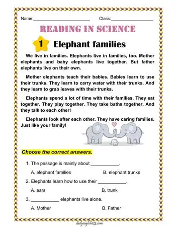 elephant-families