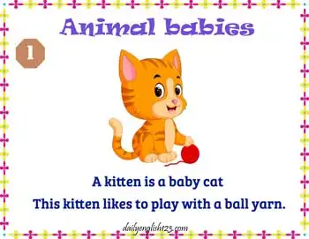 Animal_Babies2
