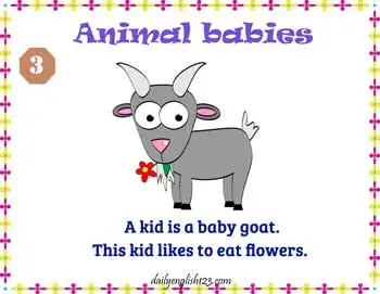 Animal_Babies4