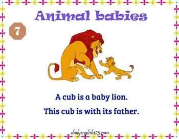 Animal_Babies9