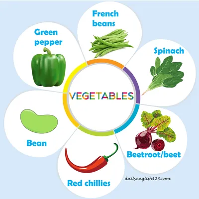 Vegetables5