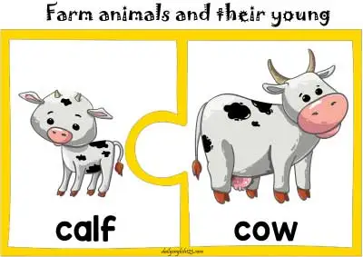 farm animals