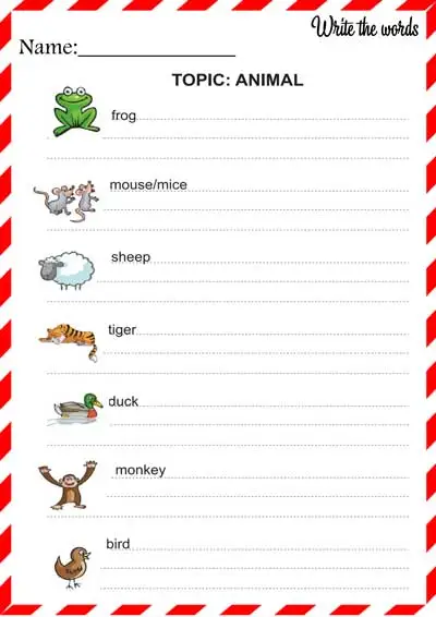 writing-animal