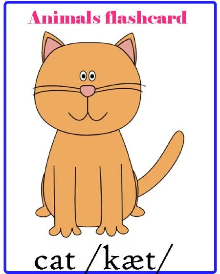 Animals flashcard