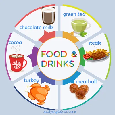 vocabularyfood11