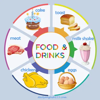 vocabularyfood4