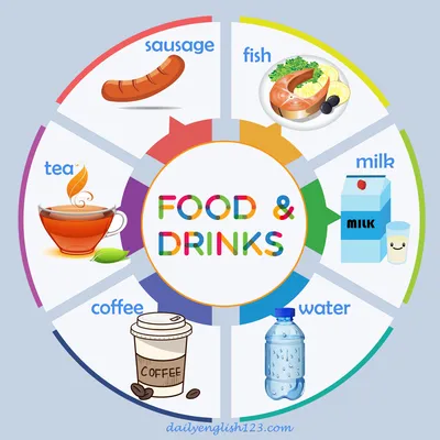 vocabularyfood5
