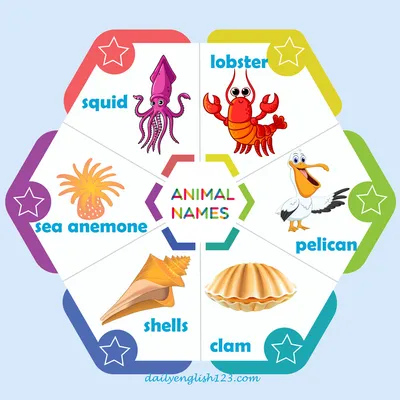 Animal names14