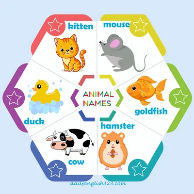 Animal names3