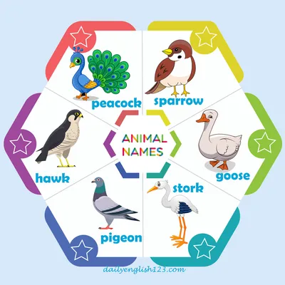 Animal names5