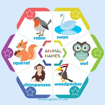Animal names7