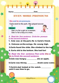 nounandpronoun9