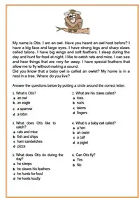 reading-comprehension-1