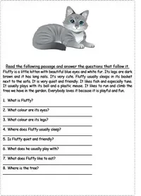 reading-comprehension-2