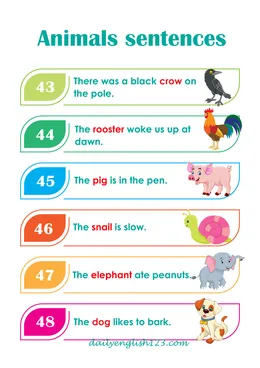 sentences8