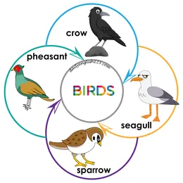 birds2
