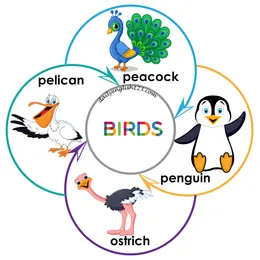 birds7