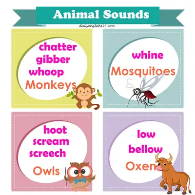 Animal-sound11