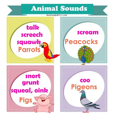 Animal-sound12