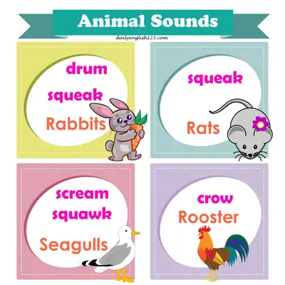 Animal-sound13