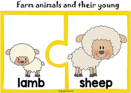 farm10