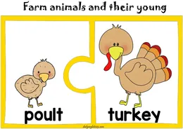 farm11