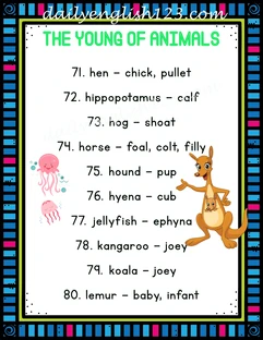 animal.08
