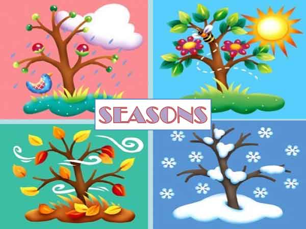 seasons-activities